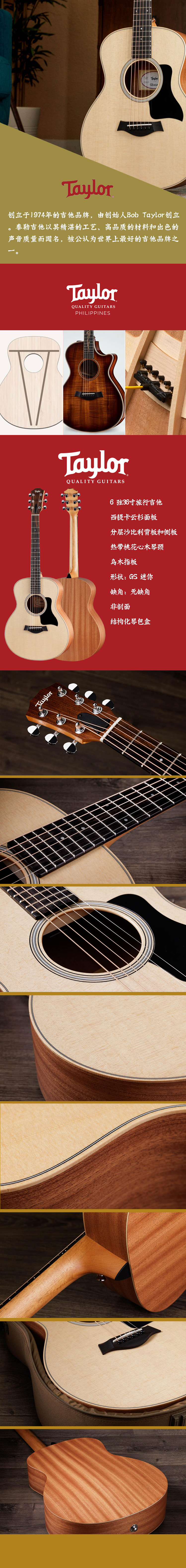 taylor-gs-mini_sapele 1.jpg